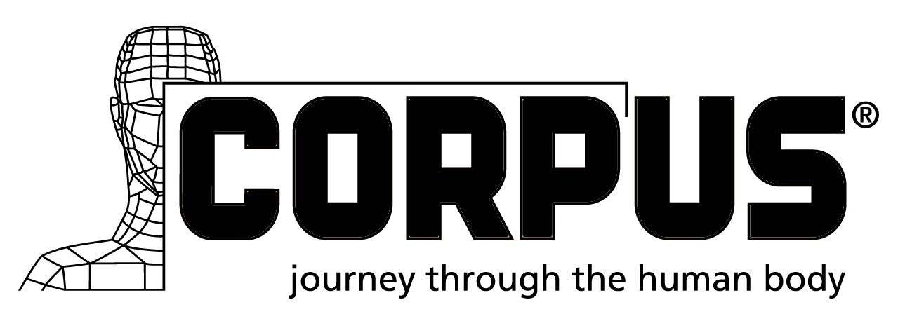 corpus